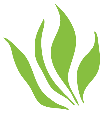 loader image